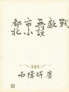 都市无敌战神林北小说