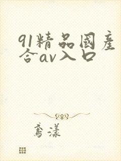 91精品国产综合av入口