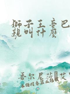 狮子王辛巴的父亲叫什么