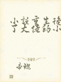 小说重生后我成了大佬的小心肝阅读