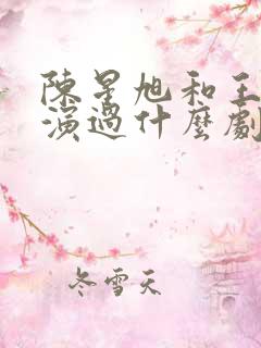 陈星旭和王玉雯演过什么剧