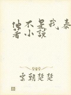 他不是我泰剧原著小说