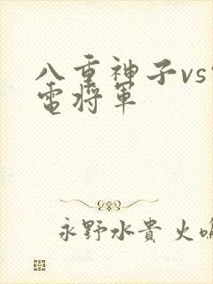 八重神子vs雷电将军