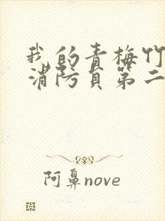 我的青梅竹马是消防员第二季完整版