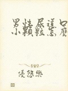 男性尿道口长了小颗粒怎么办