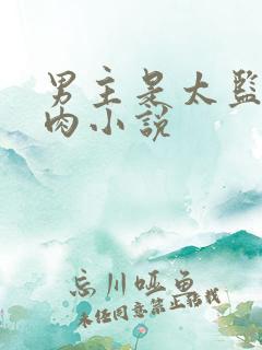 男主是太监的纯肉小说