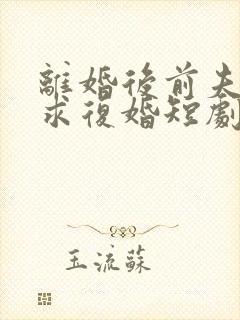 离婚后前夫哭着求复婚短剧