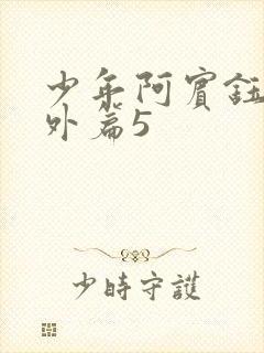 少年阿宾钰慧番外篇5