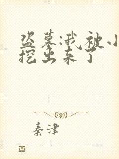 盗墓:我被小哥挖出来了