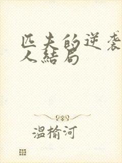 匹夫的逆袭所有人结局