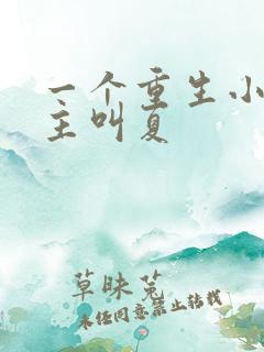 一个重生小说女主叫夏