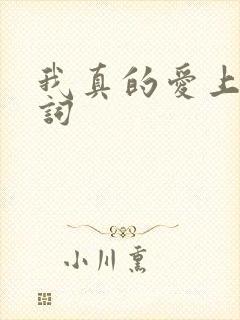 我真的爱上你歌词