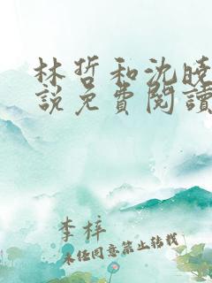 林哲和沈晓君小说免费阅读