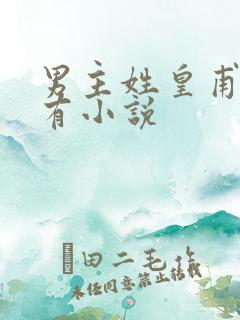 男主姓皇甫的所有小说