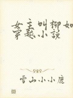 女主叫柳如烟的穿越小说