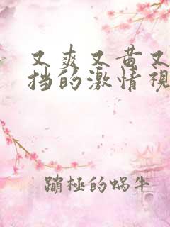 又爽又黄又无遮挡的激情视频