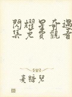 闪耀星奇遇32集免费观看