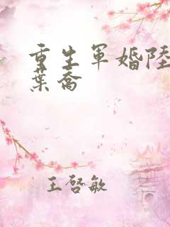 重生军婚陆北骁叶乔
