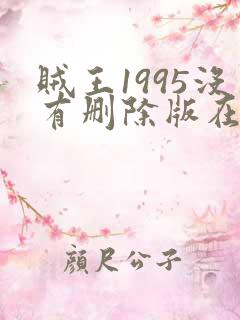 贼王1995没有删除版在线播放