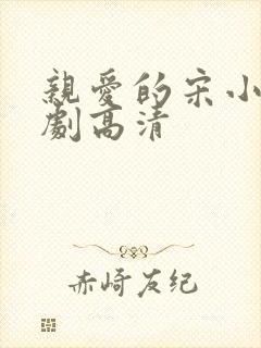 亲爱的宋小姐短剧高清