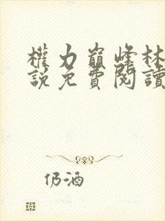 权力巅峰林毅小说免费阅读