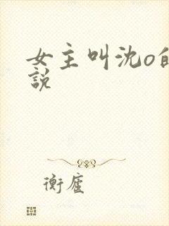 女主叫沈o的小说