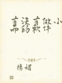 有没有做小说封面的软件