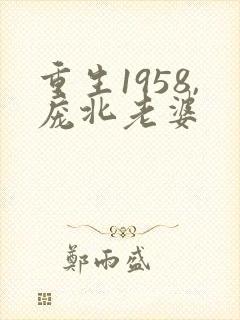 重生1958,庞北老婆