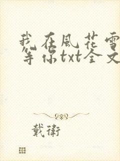 我在风花雪月里等你txt全文下载