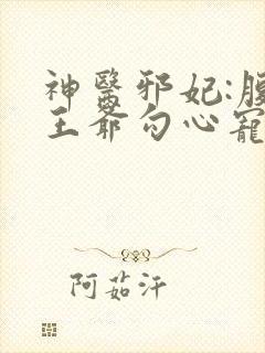 神医邪妃:腹黑王爷勾心宠