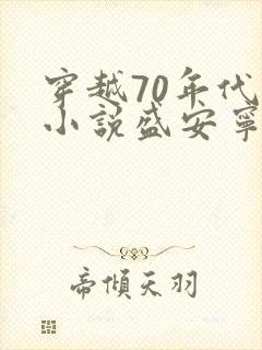 穿越70年代的小说盛安宁