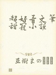 超好看文笔好的甜宠小说