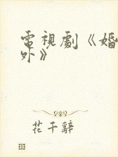 电视剧《婚里婚外》