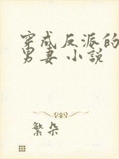 穿成反派的炮灰男妻 小说