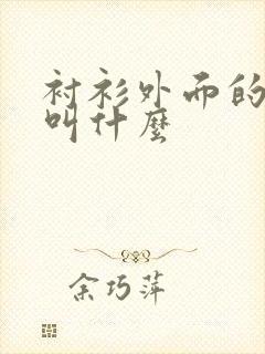 衬衫外面的马甲叫什么