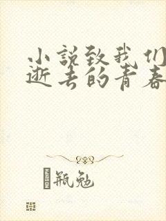 小说致我们终将逝去的青春