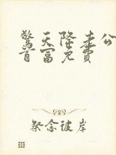 惊天降老公竟是首富免费