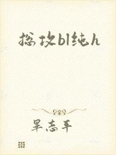 总攻bl纯h