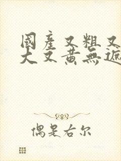 国产又粗又猛又大又黄无遮挡