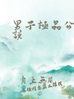 男子极品公寓小说