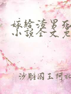 嫁给渣男死对头小说全文免费阅读