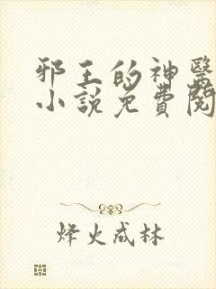 邪王的神医宠妃小说免费阅读