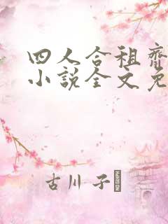 四人合租齐欢乐小说全文免费阅读