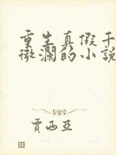 重生真假千金宋微澜的小说