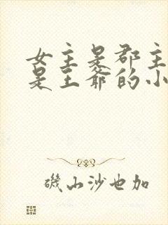 女主是郡主男主是王爷的小说