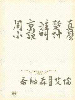 周京淮楚真原著小说叫什么名字