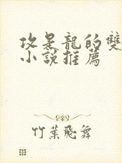 攻是龙的双男主小说推荐