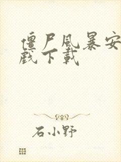 僵尸风暴安卓游戏下载