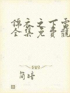 锦衣之下电视剧全集免费观看高清