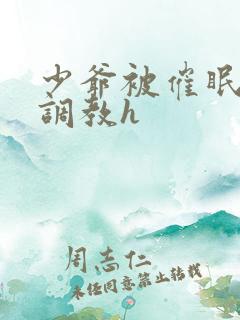 少爷被催眠玩弄调教h